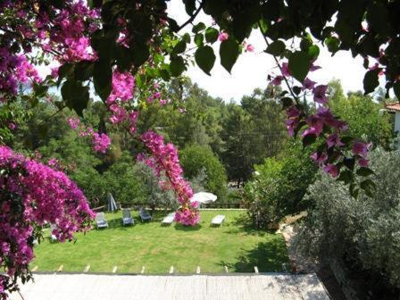 Hotel Heleni Apartments Epidaurus Eksteriør billede