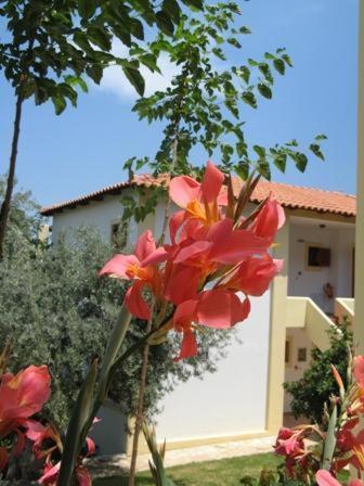 Hotel Heleni Apartments Epidaurus Eksteriør billede